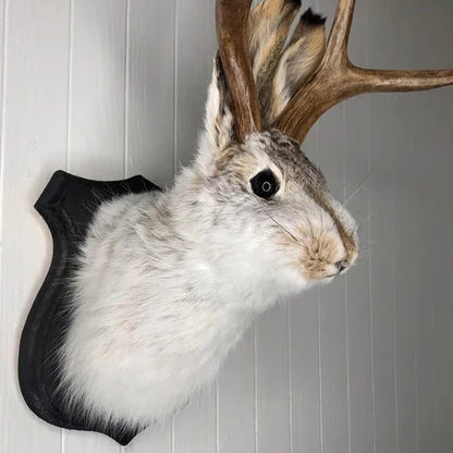 Belro Jackalope wall decor featuring a rustic, handcrafted antelope figure for home and garden interior decoration.