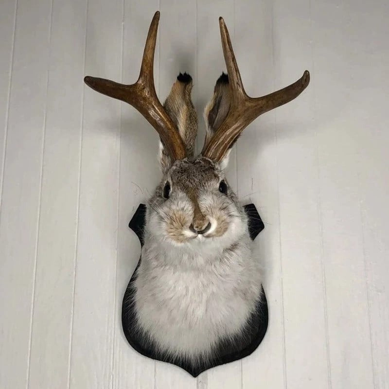 Belro Jackalope wall decor featuring a detailed, rustic-inspired antelope figure for home and garden interior decoration.