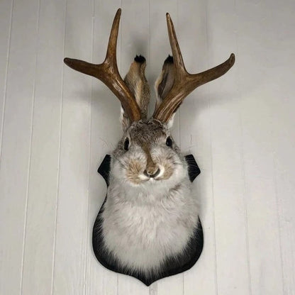 Belro Jackalope wall decor featuring a detailed, rustic-inspired antelope figure for home and garden interior decoration.