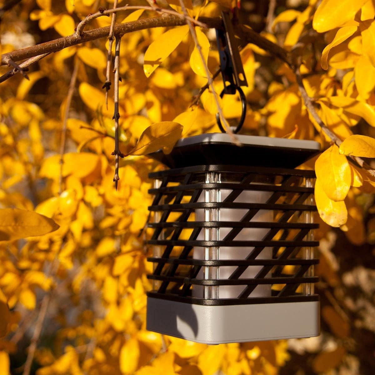 Belro Solar LED Garden Lantern illuminating an outdoor garden area with a warm glow, perfect for outdoor home and garden decor.