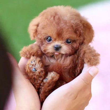 Belro realistic robotic puppy toy, lifelike design with detailed features, perfect for playful and interactive fun.