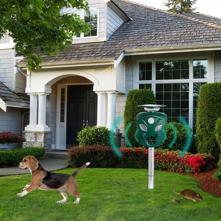 Belro 360° Solar Ultrasonic Animal Repeller in outdoor garden setting, showing device with solar panel and motion sensor for pest control.