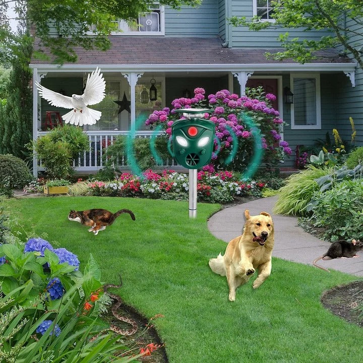 Belro 360° Solar Ultrasonic Animal Repeller showing outdoor device with solar panel and motion sensor for pest control.