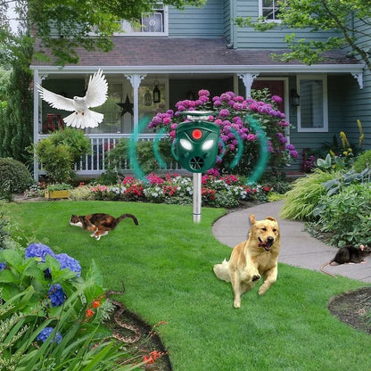 Belro 360° Solar Ultrasonic Animal Repeller showing outdoor device with solar panel and motion sensor for pest control.