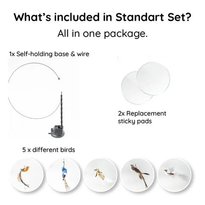 Belro bird simulation toy set for cats featuring colorful, realistic bird toys designed to engage feline play and hunting instincts.