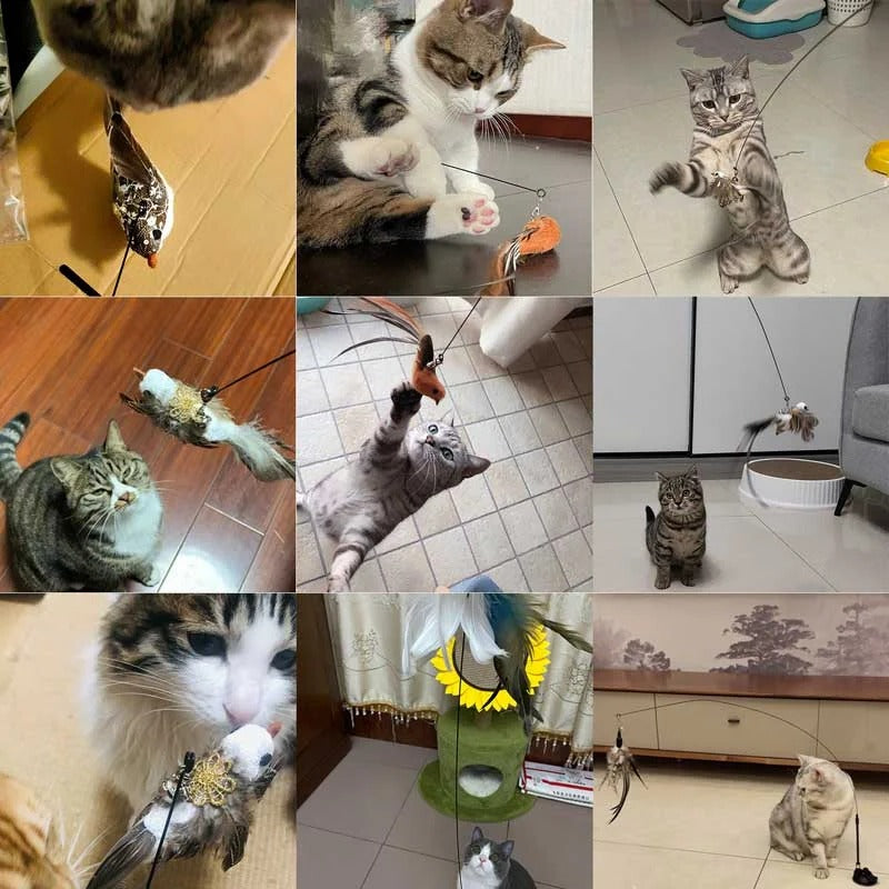 Belro bird simulation toy set for cats featuring colorful, realistic bird toys designed to entertain and engage feline pets.