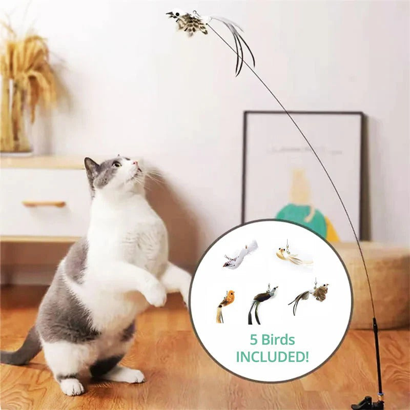 Belro bird simulation toy set for cats, featuring colorful feather toys and hanging accessories for feline play and enrichment.