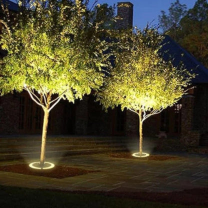 Belro LED Tree Spotlight illuminating a garden tree with bright, energy-efficient outdoor lighting for home and garden use.