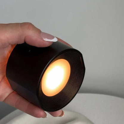Belro LED rechargeable wall light mounted outdoors, illuminating a garden wall with bright, energy-efficient lighting.