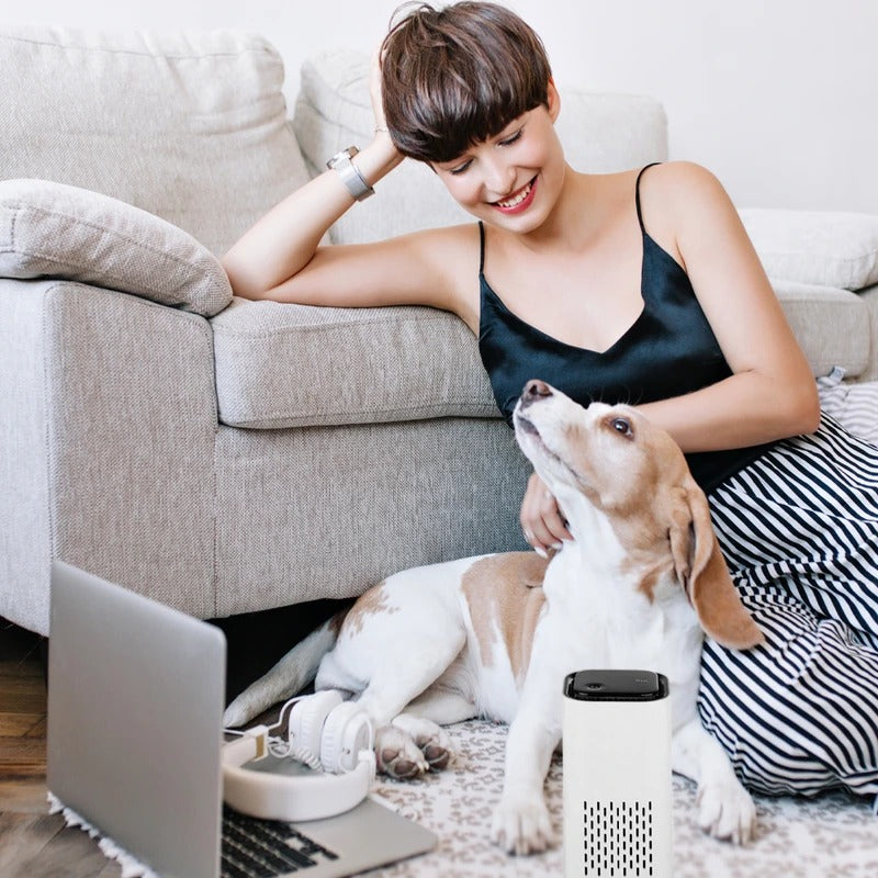 Belro Pet Air Purifier for fresh, clean air, shown in a modern home setting, designed to improve pet and household air quality.
