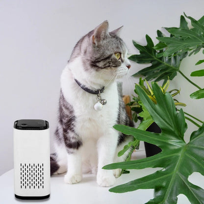 Belro Pet Air Purifier emitting clean air, designed for improving pet indoor air quality and reducing odors.