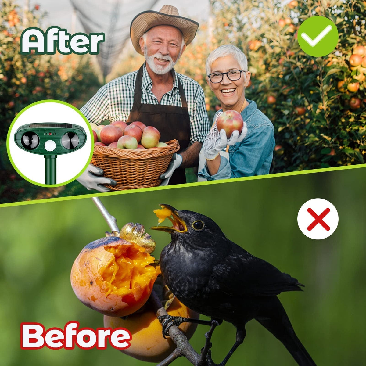 Belro Ultrasonic Woodpecker Repellent in outdoor garden setting, designed to deter woodpeckers with ultrasonic sound technology