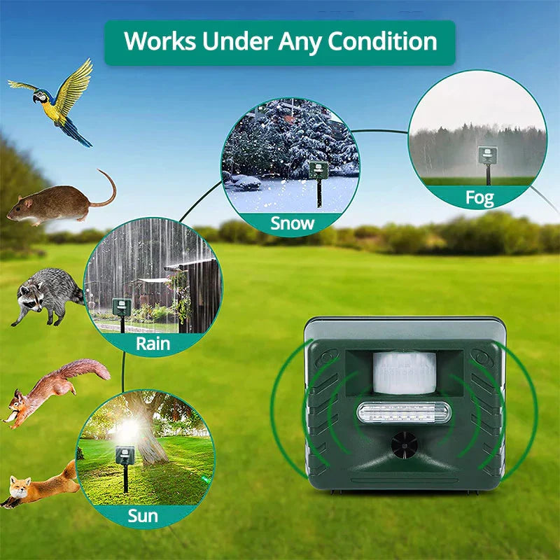 Belro Woodpecker Ultrasonic Repeller for outdoor pest control, showing the device with its ultrasonic speaker and mounting features.
