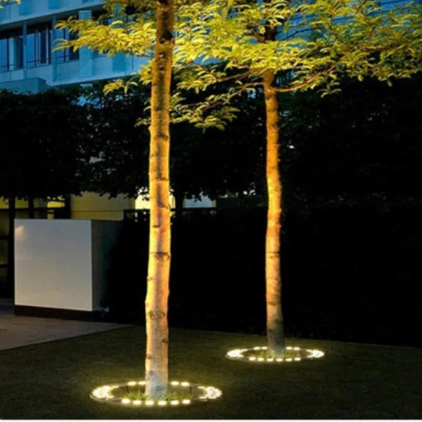 Belro LED Tree Spotlight illuminating a garden tree with bright, energy-efficient outdoor lighting in a home and garden setting.