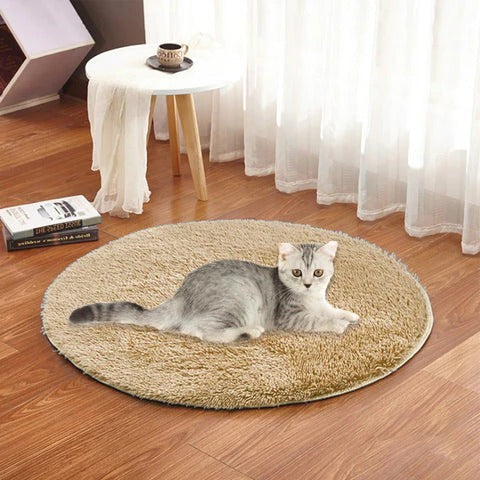 Belro USB heated pet cushion with soft fabric cover, designed for comfort and pain relief for pets.