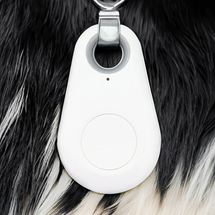Belro Pets Smart Waterproof GPS Tracker for pets, showing device with LED indicator and GPS antenna in close-up view