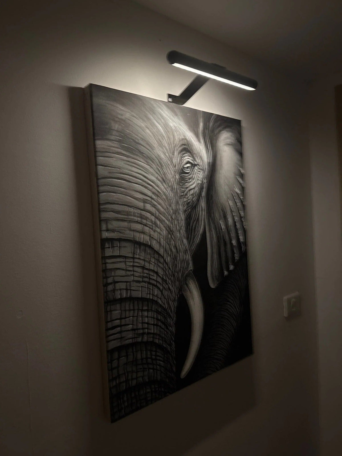 Wireless LED picture light by Belro mounted on outdoor wall, illuminating artwork in a garden setting.