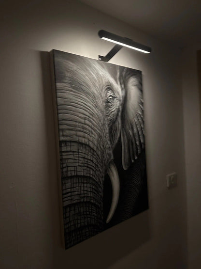 Wireless LED picture light by Belro mounted on outdoor wall, illuminating artwork in a garden setting.