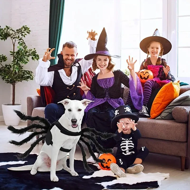 Belro pet funny spider costume featuring black and red spider design, perfect for dressing up pets in humorous, spooky style.