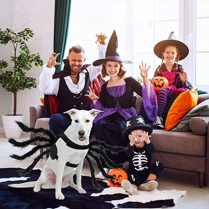 Belro pet funny spider costume featuring black and red spider design, perfect for dressing up pets in humorous, spooky style.