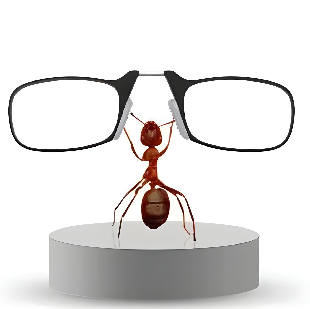 Belro foldable glasses with sleek design, showcasing their compact, functional style suitable for everyday wear.