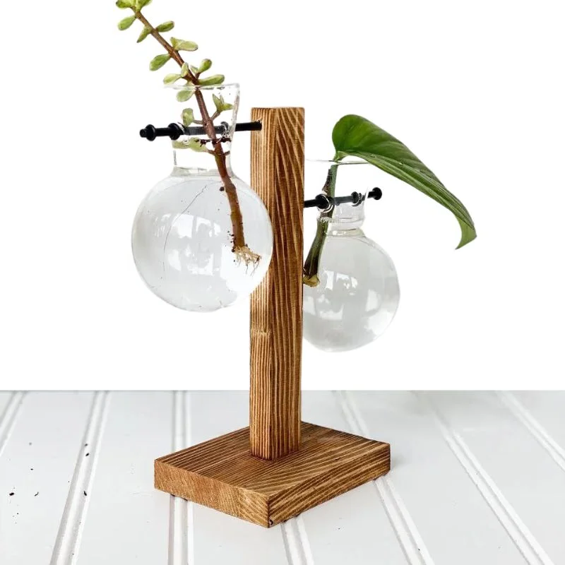 Wooden frame hydroponic plant vase by Belro, featuring a modern design with transparent container for home and garden decor.