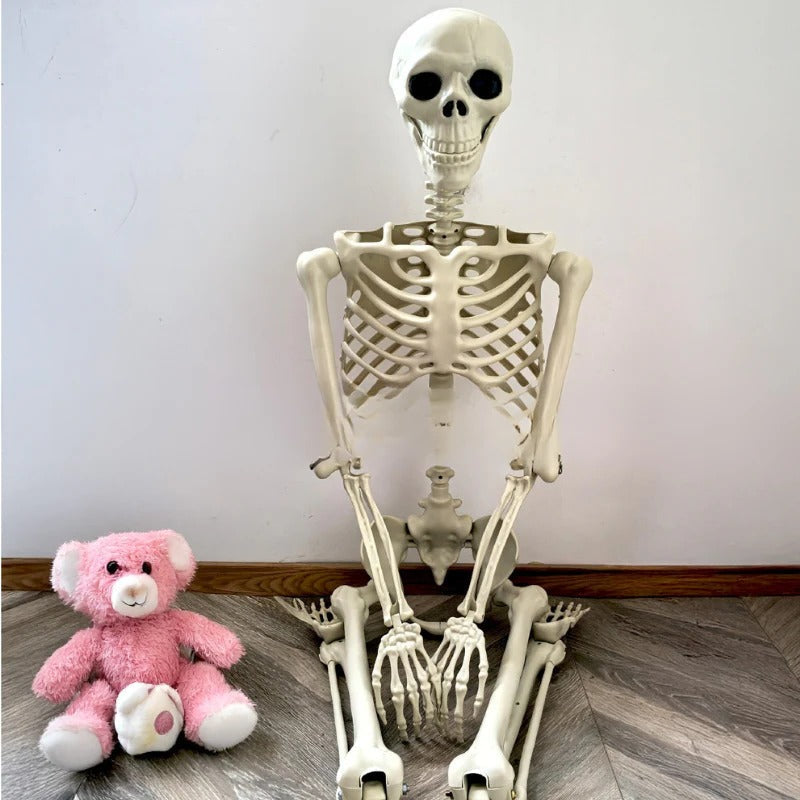 Life-size skeleton decoration from Belro, ideal for home and garden decor, shown standing with detailed bone structure