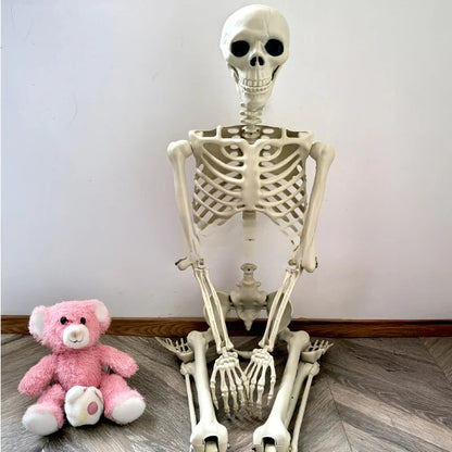 Life-size skeleton decoration from Belro, ideal for home and garden decor, shown standing with detailed bone structure