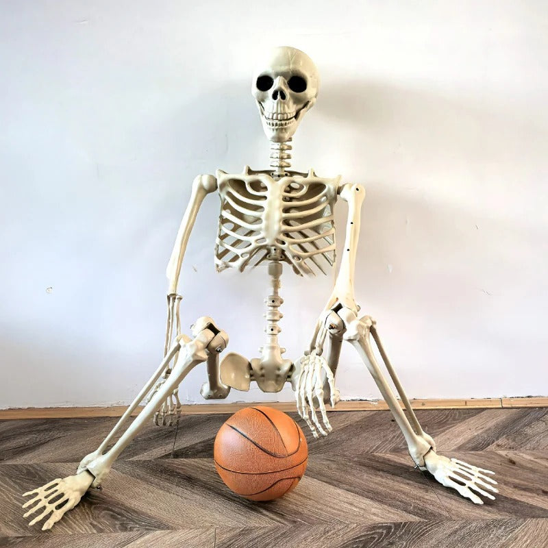 Belro life-size skeleton decoration for home and garden, realistic bone details and sturdy stand for spooky seasonal decor.