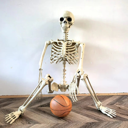 Belro life-size skeleton decoration for home and garden, realistic bone details and sturdy stand for spooky seasonal decor.