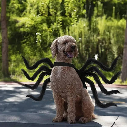 Belro Pet Funny Spider Costume featuring black and red spider design for dogs or cats, suitable for costumes and dress-up.