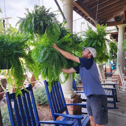 Belro UV resistant artificial Boston fern for outdoor home and garden decor, lifelike green foliage in a realistic plant display.
