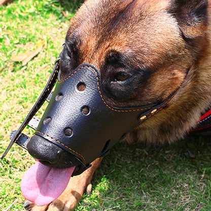 Belro breathable dog biting muzzle mouth guard on a dog’s snout, designed for pet safety and comfort during training or grooming.
