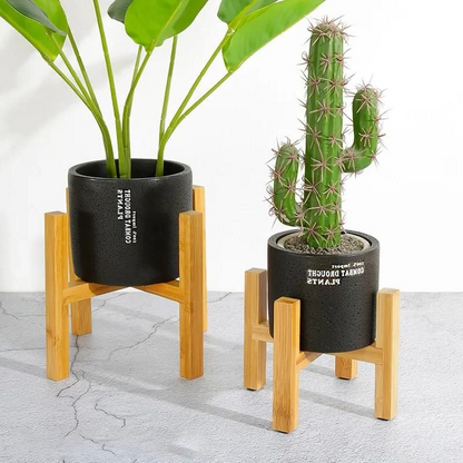 Belro wooden plant pot trays for outdoor gardening, showcasing natural wood finish and drainage features.