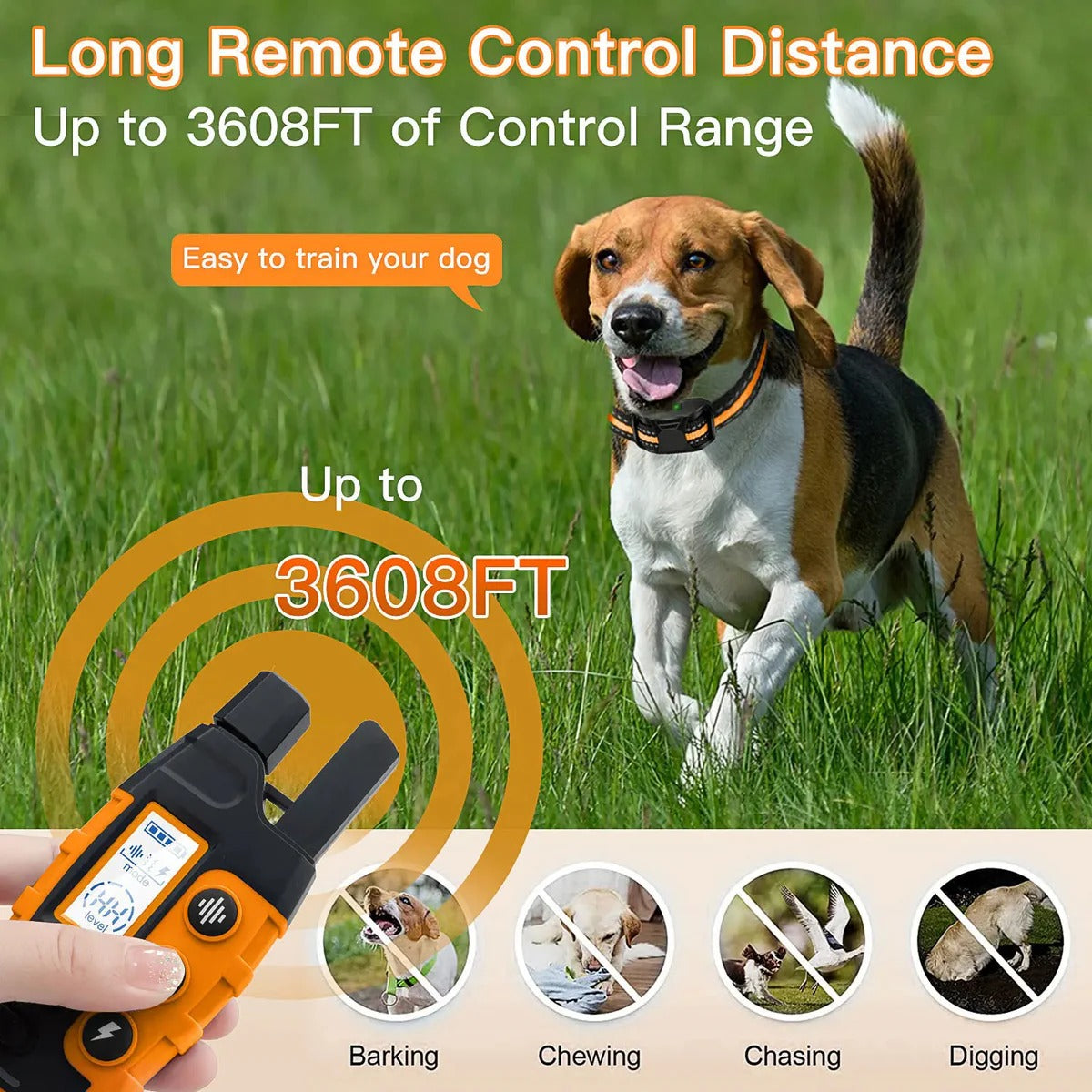 Belro remote dog training e-collar with control buttons and adjustable strap, used for pet training and behavior correction.