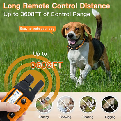 Belro remote dog training e-collar with control buttons and adjustable strap, used for pet training and behavior correction.