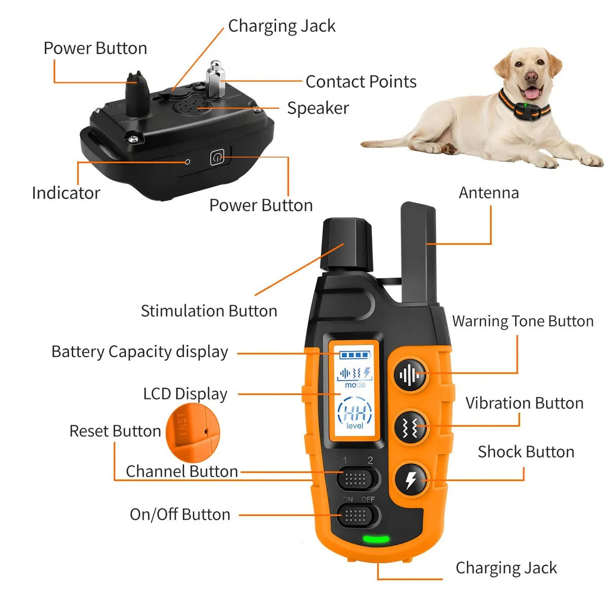 Belro remote dog training e-collar with adjustable strap and digital control for effective pet obedience training.