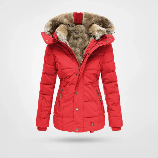 Belro winter jacket with hood and warm lining, stylish winter coat for cold weather, featuring a sleek design and insulated material.