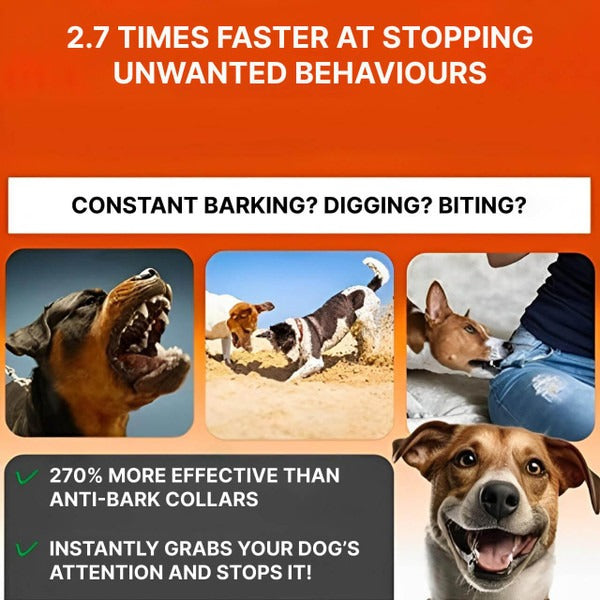 Belro ultrasonic dog anti-bark device in hand, designed to help reduce excessive barking in pet supplies for dogs.