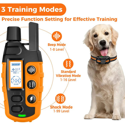 Belro remote dog training e-collar with adjustable strap and control unit for effective pet training.