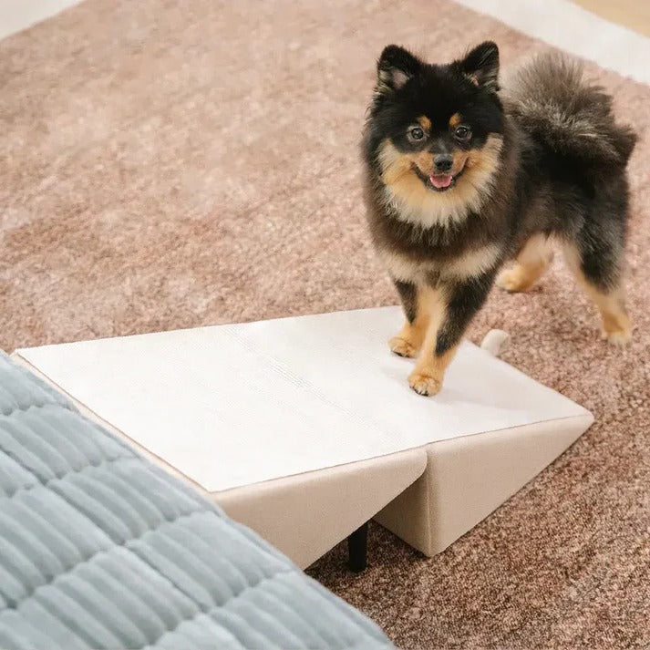 Belro 2-in-1 convertible dog ramp and step stool, portable pet aid with non-slip surface and adjustable height for easy access.