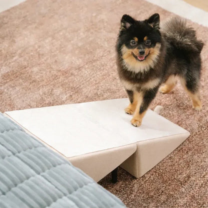 Belro 2-in-1 convertible dog ramp and step stool, portable pet aid with non-slip surface and adjustable height for easy access.