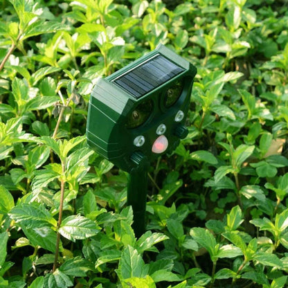 Belro ultrasonic cat repellent device emitting ultrasound and noise to deter cats, foxes, rats, squirrels, and dogs outdoors.
