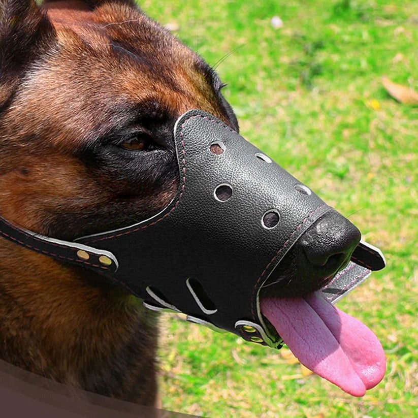 Belro breathable dog biting muzzle mouth guard for dogs, shown in a close-up view highlighting the adjustable straps and mesh design.