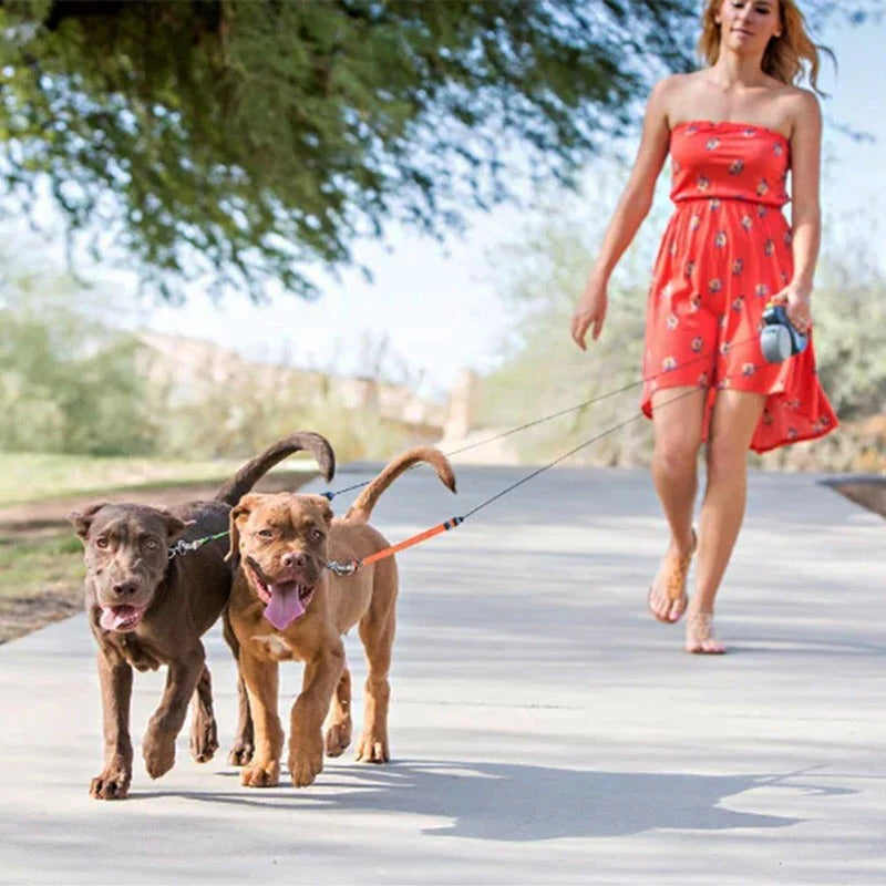 Belro dual dog leash with built-in flashlight and waste bag holder, designed for secure and convenient dog walking.