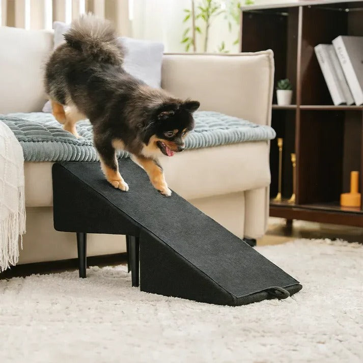 Belro 2-in-1 convertible dog ramp and step stool for pets, shown in a neutral setting, designed for easy access and comfort.