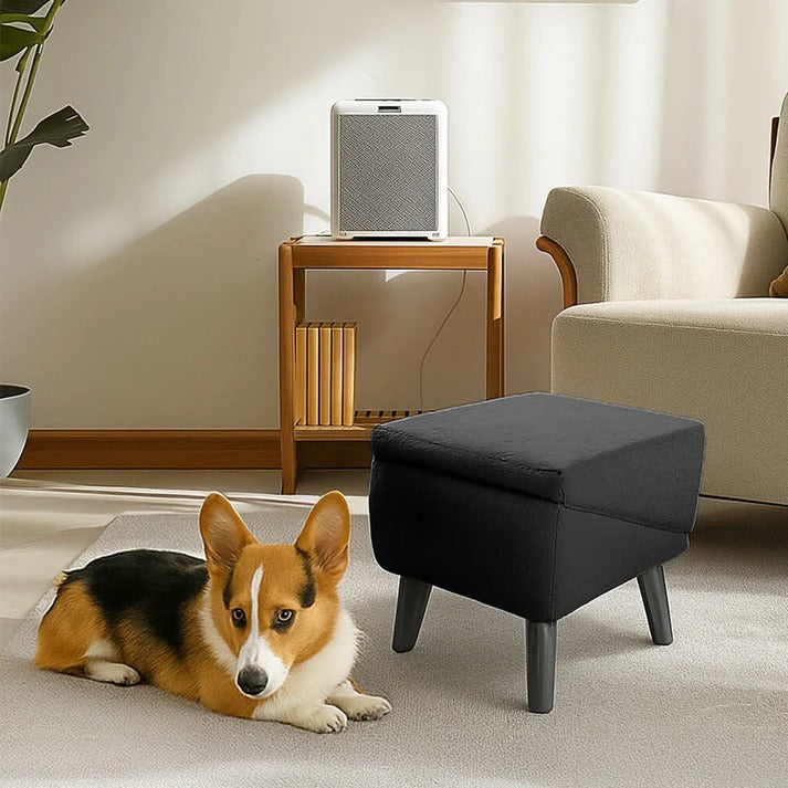 Belro 2-in-1 convertible dog ramp and step stool, designed for easy pet access and support, with sturdy construction and neutral color.