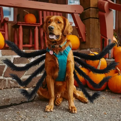 Belro Pet Funny Spider Costume showing a pet wearing a black and red spider-themed costume with leg details and playful design.