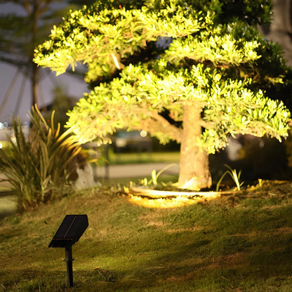 Belro waterproof LED solar multi-zoom spot light with RGB color options for outdoor landscape lighting, shown illuminating a garden area.