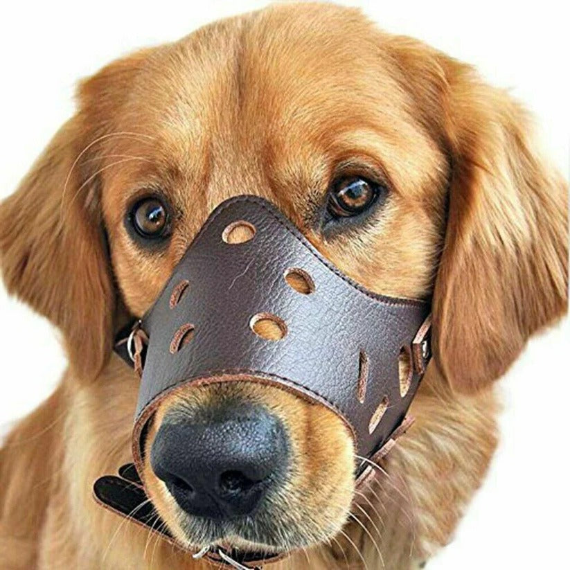 Belro breathable dog biting muzzle mouth guard showing a comfortable, adjustable pet supply for safe dog training and control.